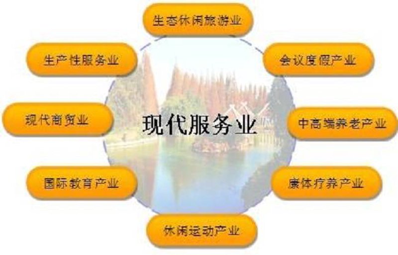 商务顾问行业的动态与变化
